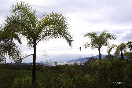 The active Sangay volcano and the Sangay National Park El volcán activo Sangay y el Parque Nacional Sangay Puyo - Provincia de Pastaza