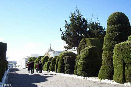 Cementerio Fotos de Tulcán - Provincia del Carchi