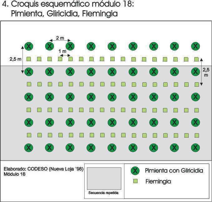 Estableciminto del modulo Propagacion Pimienta Gliricidia Flemingia