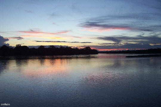 Río Patsaza visto desde SharamentsaAmazonía Ecuador