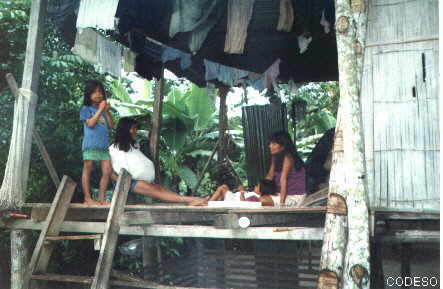 Ein typisches Cofán-Haus - Gemeinde Dovuno - SucumbíosFamilien-Solarelektrifizierung in den Kabinen