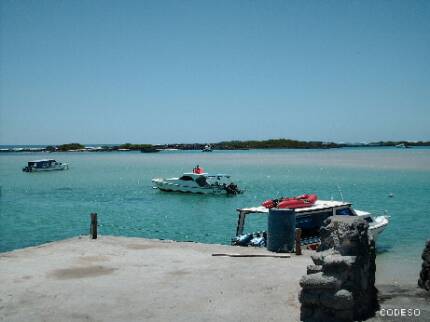 Galapagos Islands