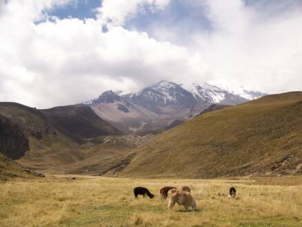 Chimborazo Fotos