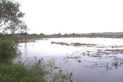 Province Manabi - Ecuador - South America