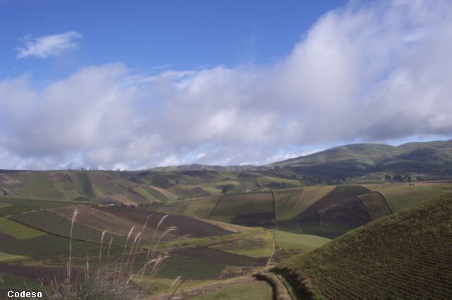 Paramo Sierra Andes