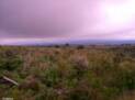 Bild Paramo Parque Nacional Cotopaxi