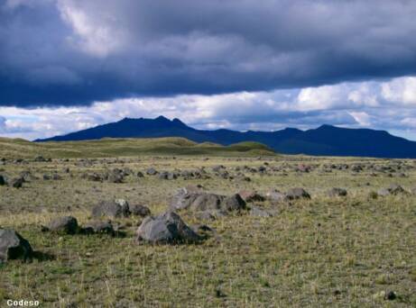 Bilder Cotopaxi - Parque Nacional - National Park 