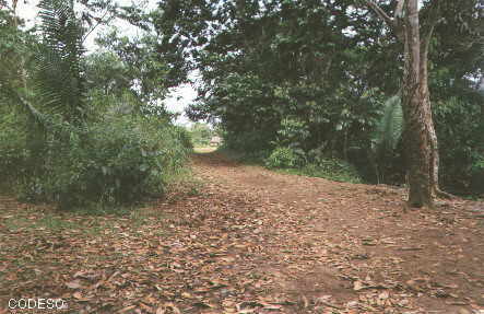 Un sendero de la comuna