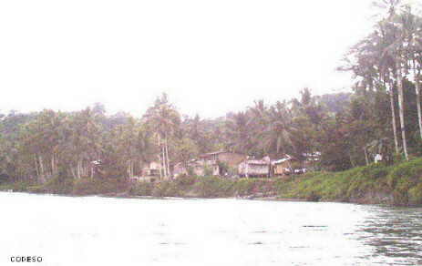 Playa de Oro seen from the river Playa de Oro visto desde el río