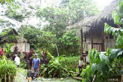 Las cabañas en Playa de Oro