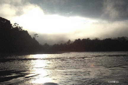 El Río Santiago por la madrugada The Santiago River at dawn