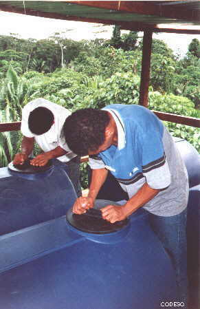 Los tanques de distribución del agua encima de la torre