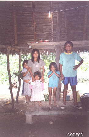 Niños con luz del sol en la cocina