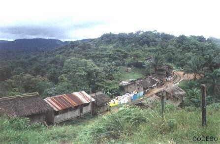 Fotos: Vista de la comunidad Ventanas y el bosque