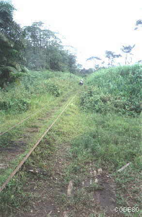 The rails of the old train with a trucker - Bild Ventanas